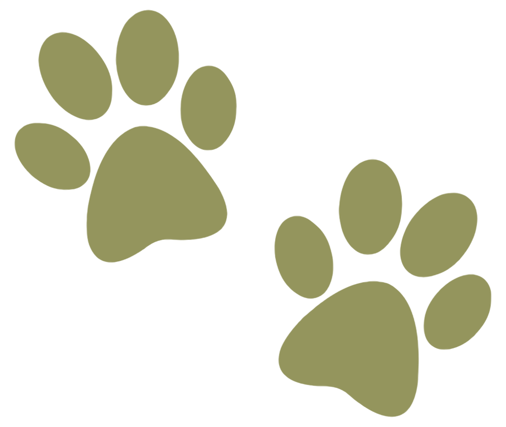 Paw Prints